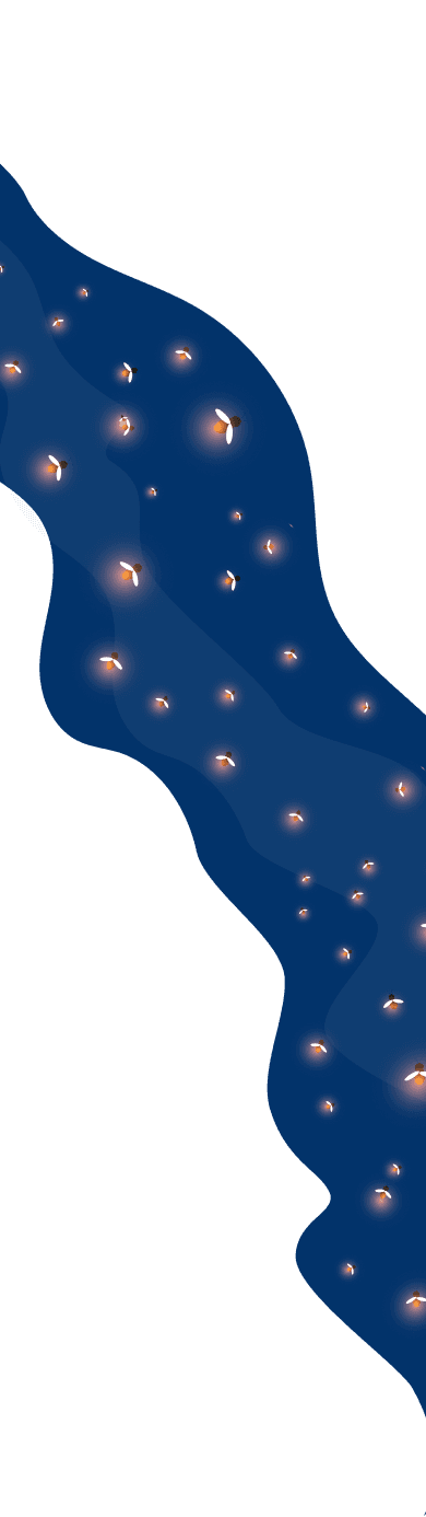 what_we_are_bg_phone